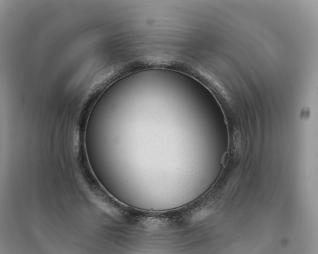X0000094330494200711091409
