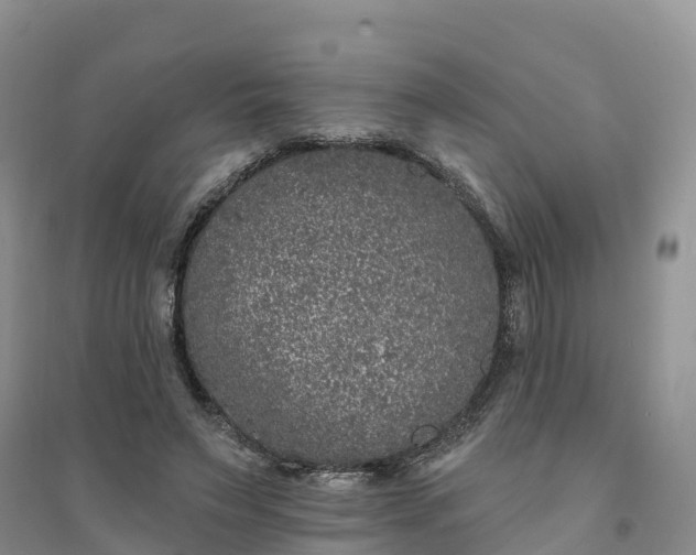 X0000094330495200711091409