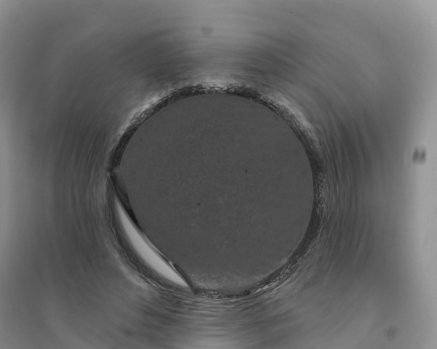 X0000094330496200711091408
