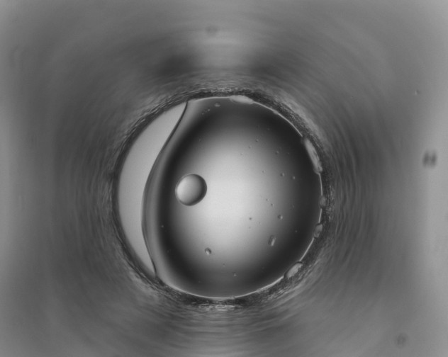 X0000094330497200711091408