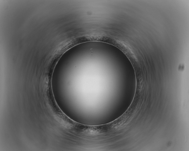 X0000094330498200711091408