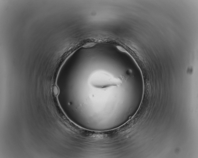 X0000094330499200711091408