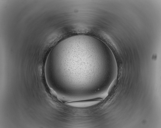 X0000094330501200711091408
