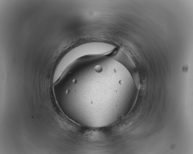 X0000094330503200711091408