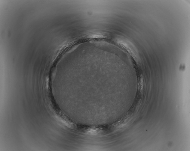 X0000094330504200711091408