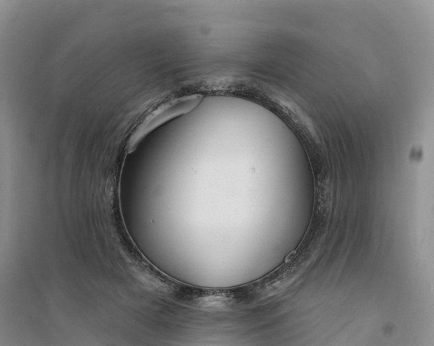 X0000094330505200711091408