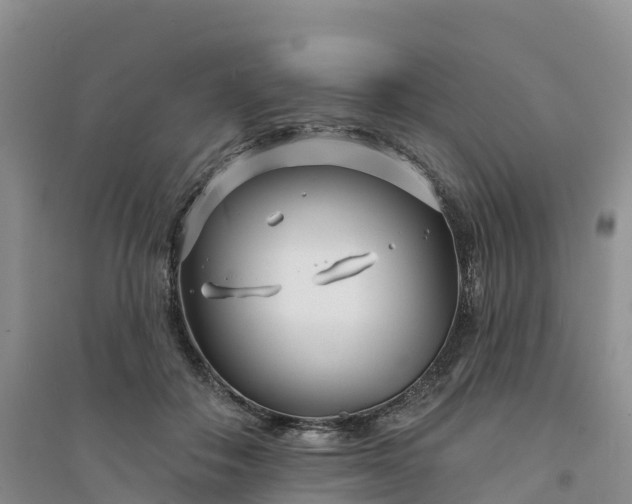 X0000094330506200711091408