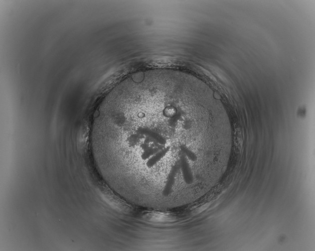 X0000094330507200711091408