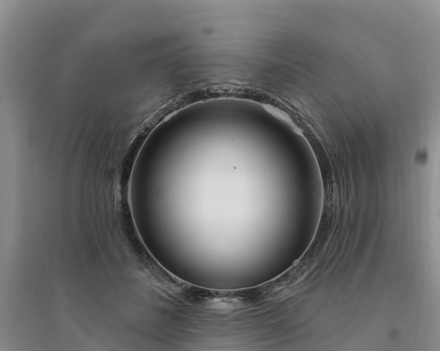X0000094330508200711091408