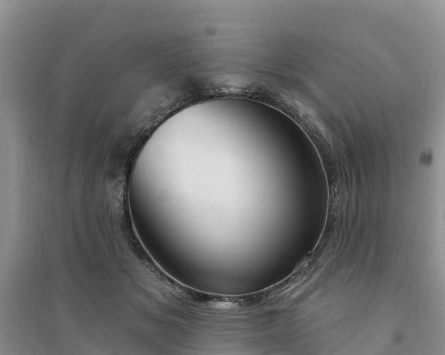 X0000094330509200711091408