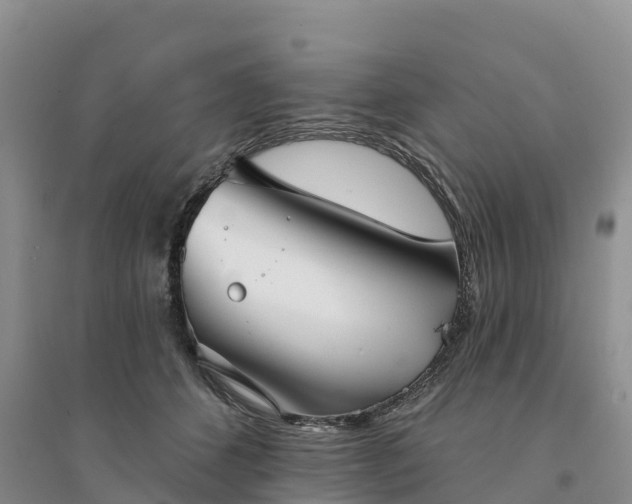 X0000094330512200711091408