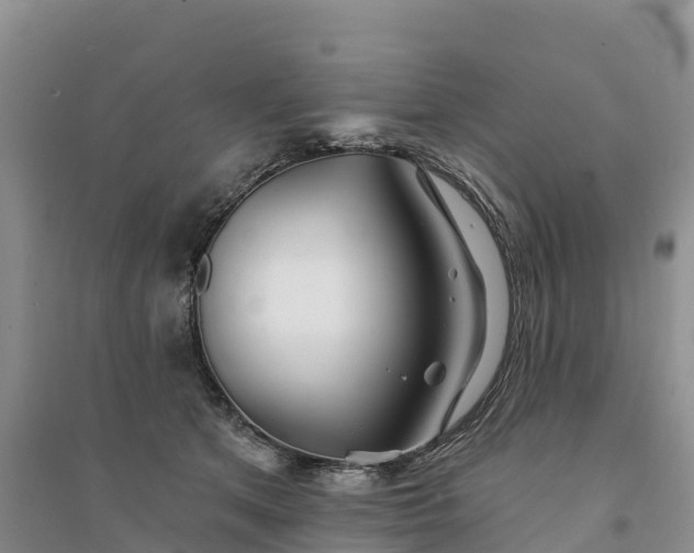 X0000094330513200711091408