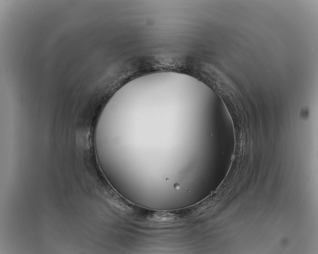 X0000094330514200711091408