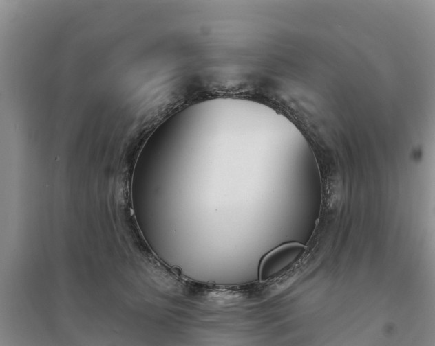 X0000094330515200711091408