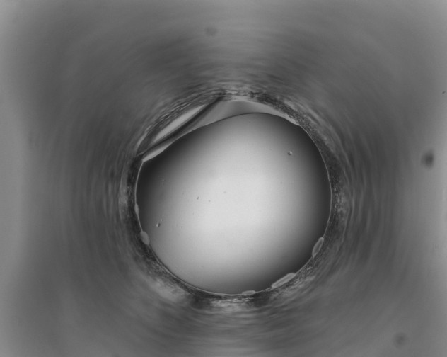 X0000094330516200711091408