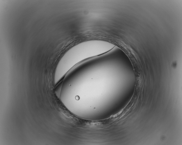 X0000094330517200711091408
