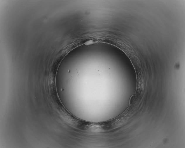 X0000094330518200711091408