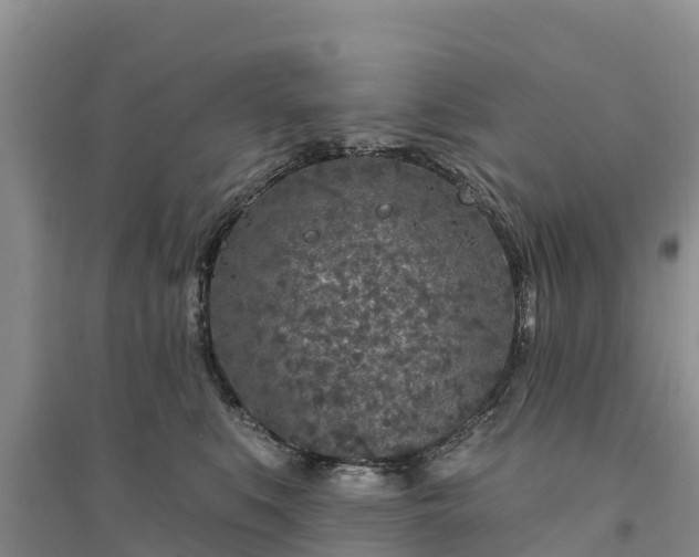 X0000094330519200711091408