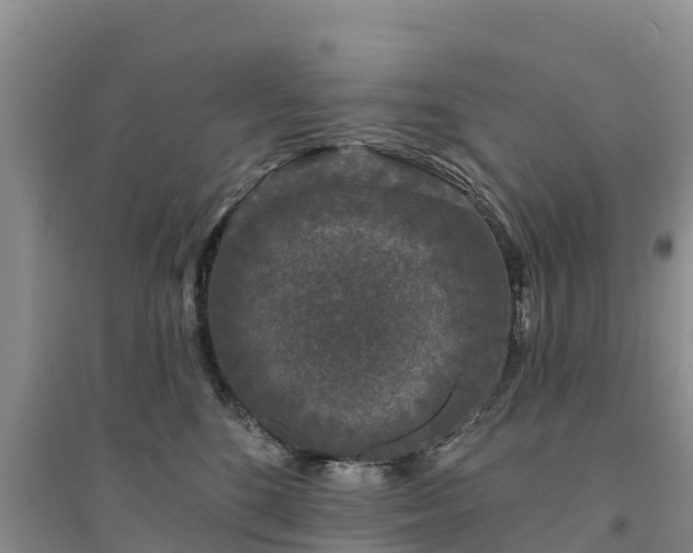 X0000094330520200711091408