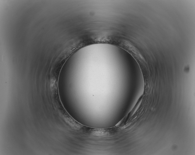 X0000094330521200711091408
