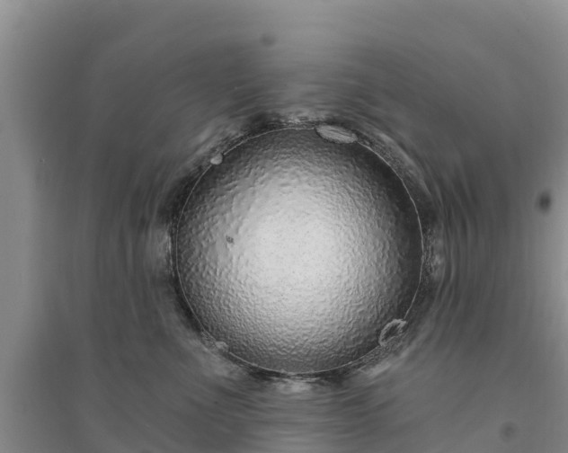 X0000094330523200711091408