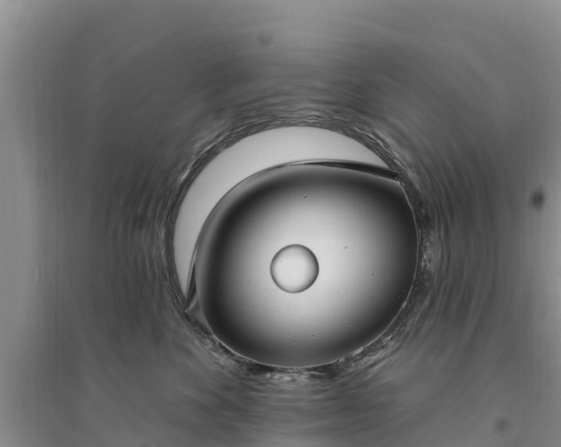 X0000094330524200711091408