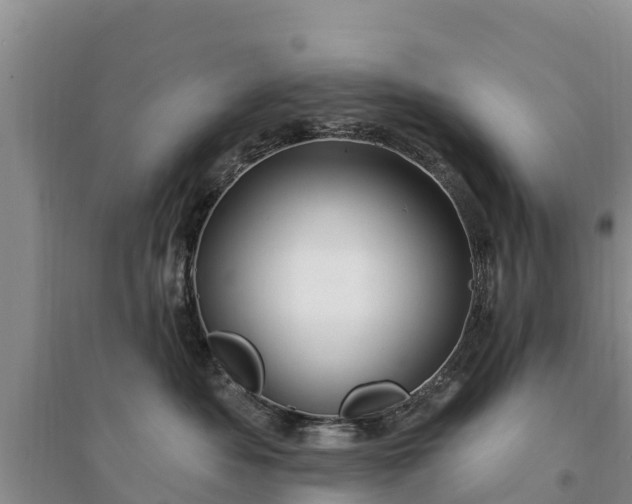 X0000094330525200711091408