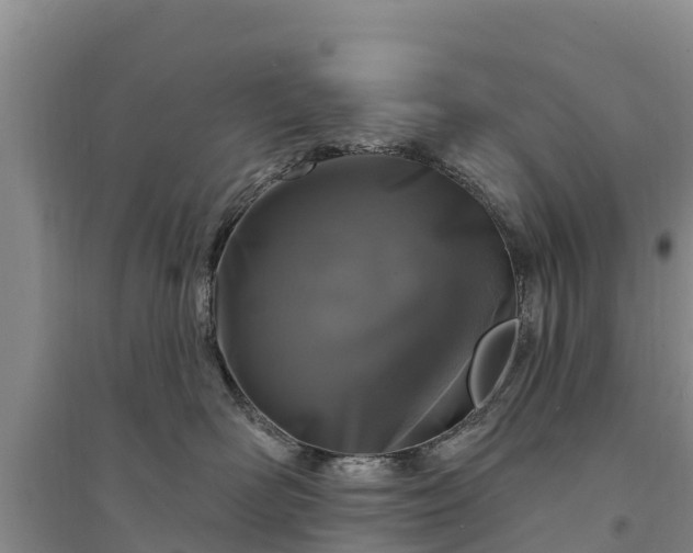 X0000094330526200711091408