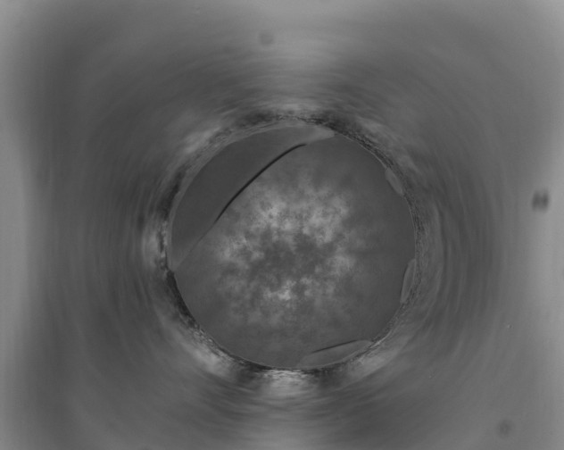 X0000094330528200711091408