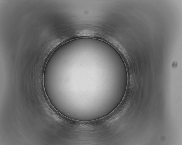 X0000094330529200711091407