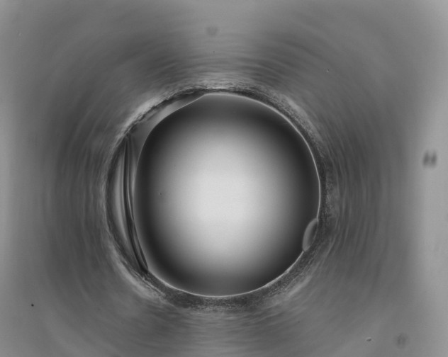 X0000094330530200711091407