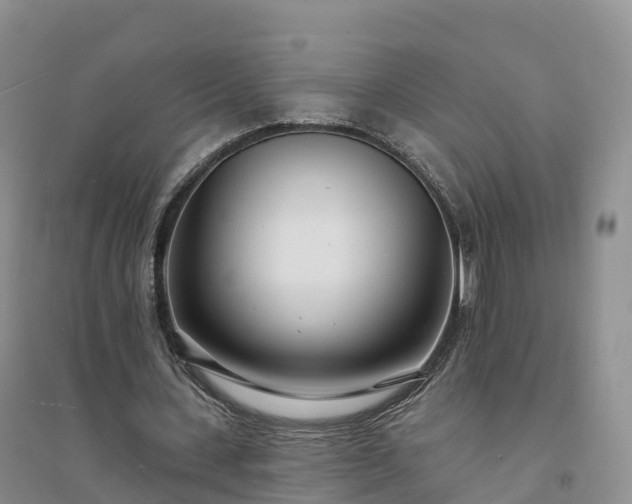 X0000094330531200711091407