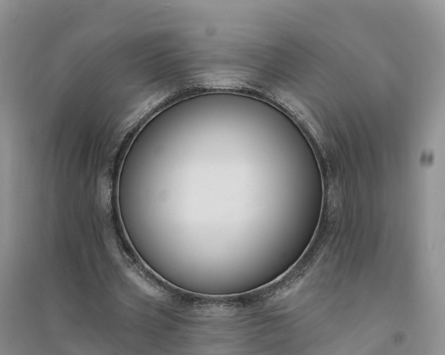 X0000094330533200711091407