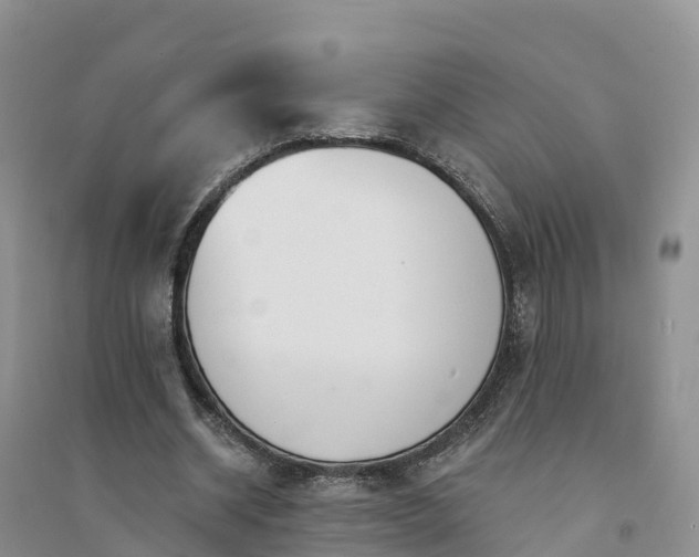 X0000094330534200711091407