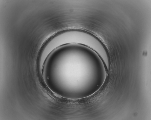 X0000094330535200711091407
