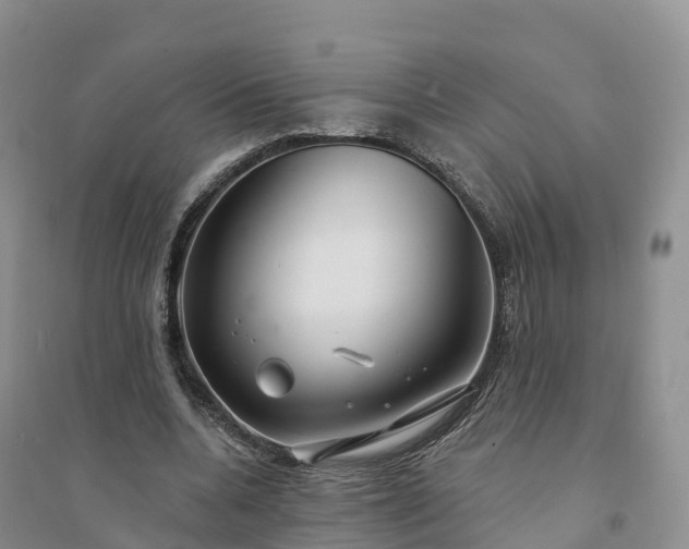 X0000094330536200711091407