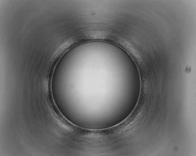 X0000094330537200711091407