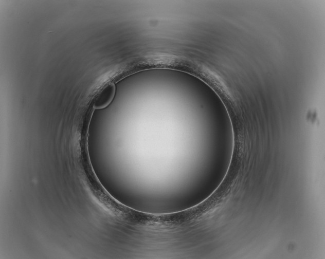 X0000094330538200711091407