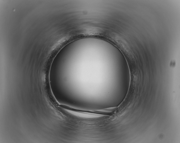 X0000094330539200711091407
