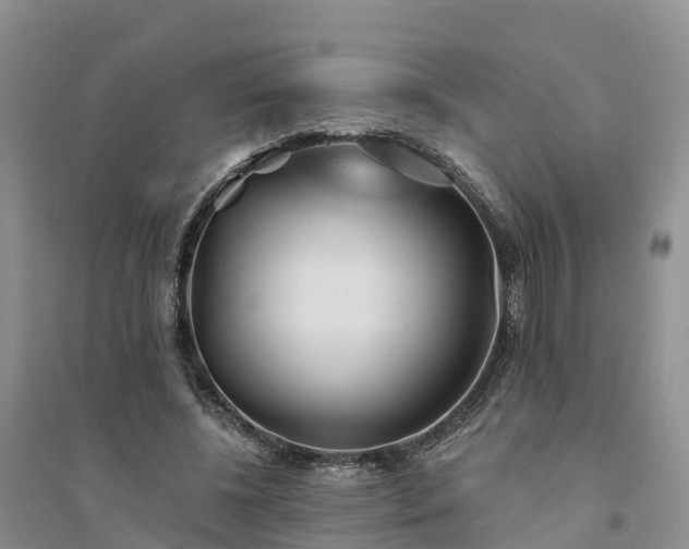 X0000094330540200711091407