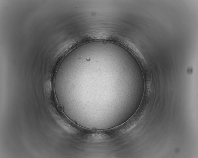 X0000094330541200711091407