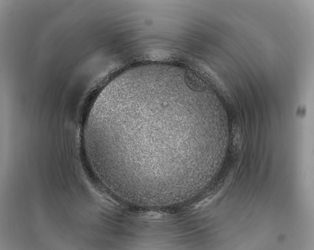 X0000094330542200711091407