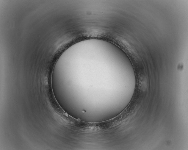 X0000094330543200711091407