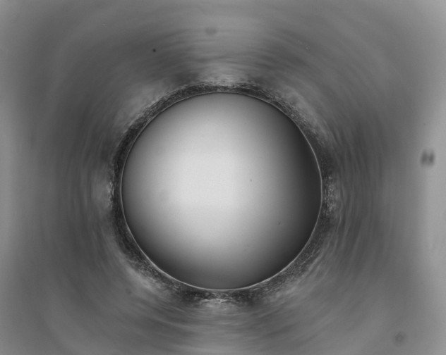 X0000094330544200711091407