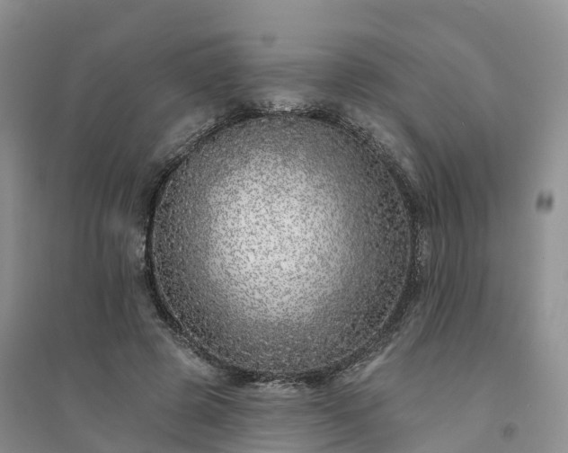 X0000094330545200711091407
