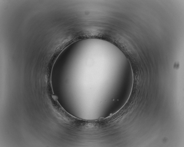 X0000094330546200711091407