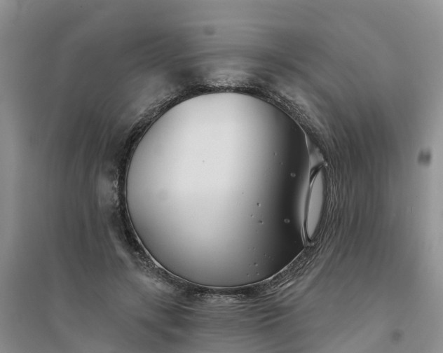 X0000094330547200711091407