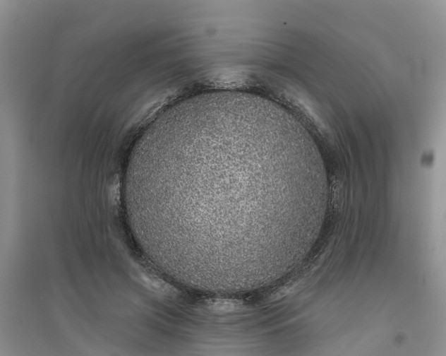 X0000094330549200711091407