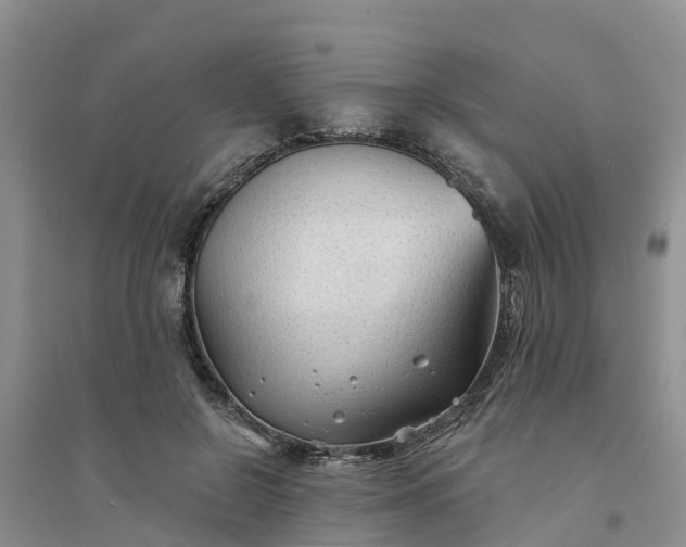 X0000094330550200711091407