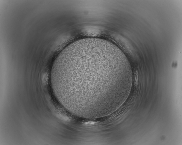 X0000094330551200711091407